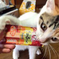 ちぁき 会員画像