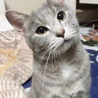 Nまま 会員画像
