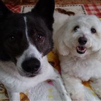 Mikey1012 会員画像