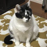 アーリ 会員画像