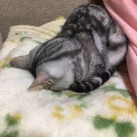 こっしー120131さん