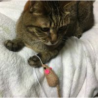 会員画像