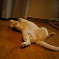 hug324 会員画像