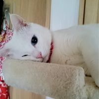 会員画像