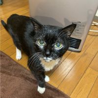 会員画像