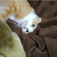 萩子の母ですさん