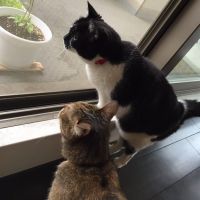 あずくるみ 会員画像