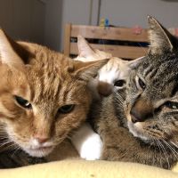 会員画像