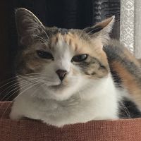 アモ39 会員画像
