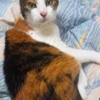 mayumi♪ 会員画像