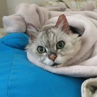 りえたろうさん