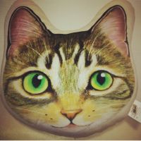 まかせは 会員画像