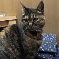 みわけん 会員画像