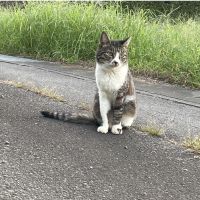 きれこ 会員画像