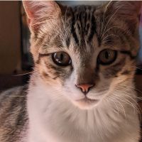 ゆずルナ 会員画像