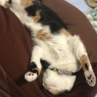 キキ0323さん