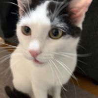 KBYさん