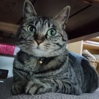 ナツ育ちさん