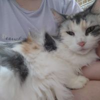 花メイさん