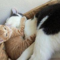 みゆ1201 会員画像