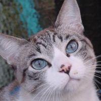 黒真珠さん