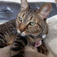 ちゃちゃ丸ママさん