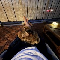 タイくんさん