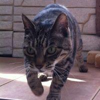 キキ♪ 会員画像