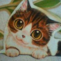 会員画像