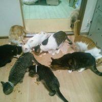 ちんみ 会員画像