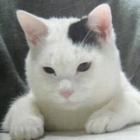 ナス太郎 会員画像