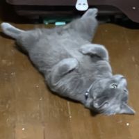 ぢー 会員画像