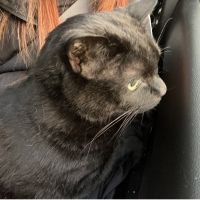 吉野まいちゃすけさん