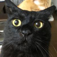 会員画像