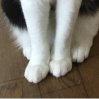 やまうみ 会員画像