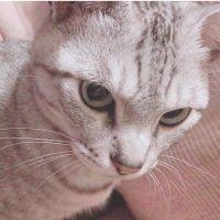 あかりんぼ 会員画像