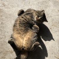 会員画像