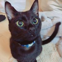 china0808 会員画像