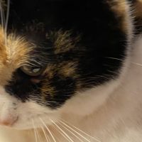 ゆうたか 会員画像