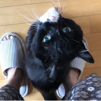 会員画像