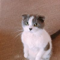 会員画像