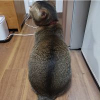 ゆづず 会員画像