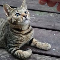 会員画像