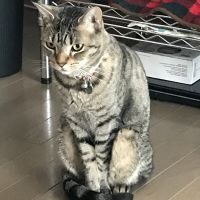 シゲボさん