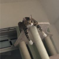 会員画像