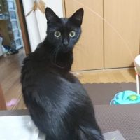 じゃーた 会員画像