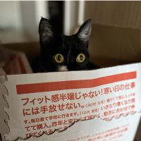 はこね 会員画像