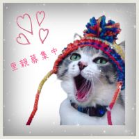 at.cats 会員画像