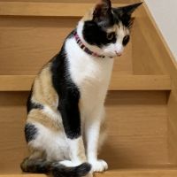 探索隊 会員画像