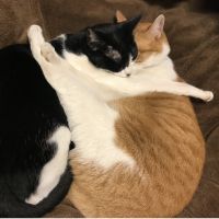 ココナッツ1102 会員画像